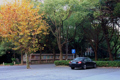 半岛体育