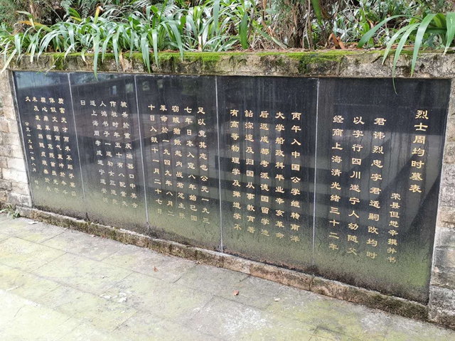 半岛体育