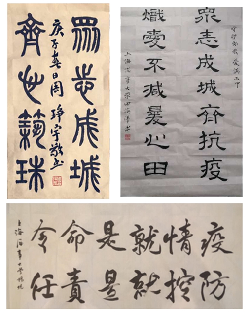 半岛体育