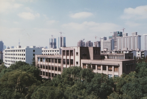 半岛体育