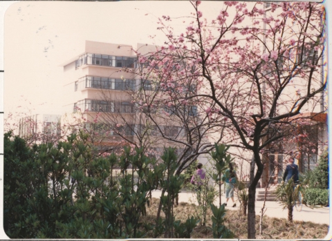 半岛体育