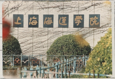 半岛体育