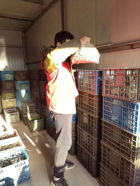 半岛体育