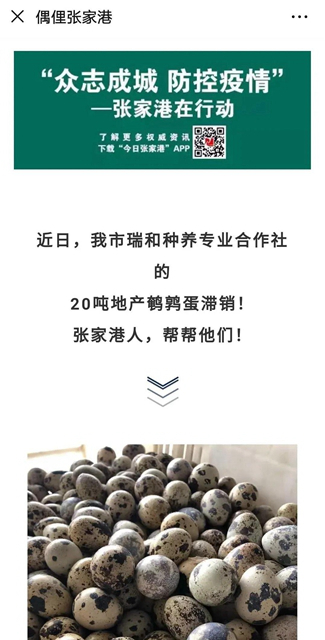 半岛体育
